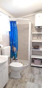 ein Bad mit einem WC und einem blauen Duschvorhang in der Unterkunft Apartment with sea view terrace in Betina