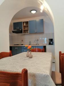 Een keuken of kitchenette bij Pet friendly Apartments Licul