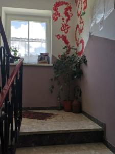 Fotografie z fotogalerie ubytování Pension Nachtviole v destinaci Hüttau