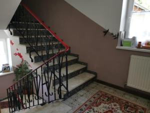 Fotografie z fotogalerie ubytování Pension Nachtviole v destinaci Hüttau