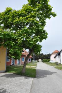 un árbol al costado de un camino en Apartma Julija Hiška 59, en Čatež ob Savi