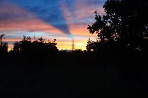 una puesta de sol en un campo con árboles en primer plano en Finca Fisterra en Maipú