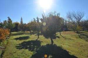 a row of trees in a field with the sun in the background at Finca Fisterra in Maipú