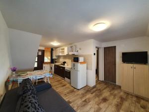 Cuina o zona de cuina de Charter Apartments Costea