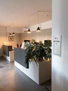 トルノにあるHotel Lagoの鉢植えの事務所 +37枚の写真