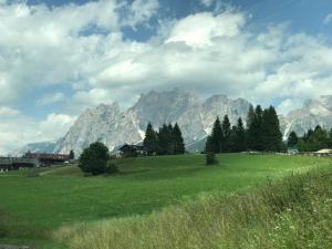 a green field with mountains in the background at Apartament 2 cam Predeal in Predeal