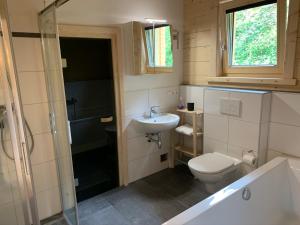 a bathroom with a toilet and a sink and a shower at Chalet Rotheheim in Kirchbach