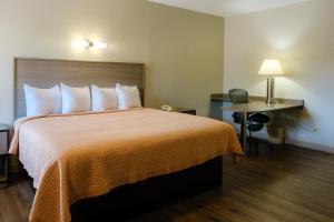 een hotelkamer met een groot bed en een bureau bij Red Carpet Inn Washington DC in Washington