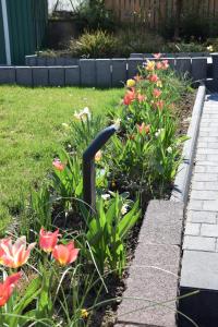 Zahrada ubytování Pension Wiesner