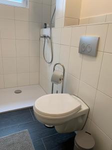 ein weißes Bad mit einem WC und einer Dusche in der Unterkunft Süßes Zimmer im Souterrain in Frensdorf