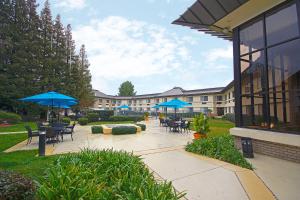 Kolam renang di atau di dekat Holiday Inn Express Walnut Creek, an IHG Hotel