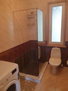 een badkamer met een douche en een toilet bij Cozy Home Two Bedroom apartments in Palanga
