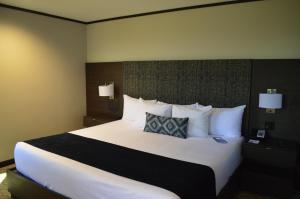 Postel nebo postele na pokoji v ubytování Grand Hotel Tijuana