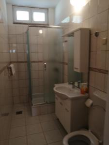 a bathroom with a shower and a toilet and a sink at Apartmani nana in Starigrad-Paklenica