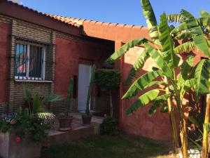 une maison en briques rouges avec des plantes devant elle dans l'établissement Apartamento con encanto Manchigon, à Palomares del Río