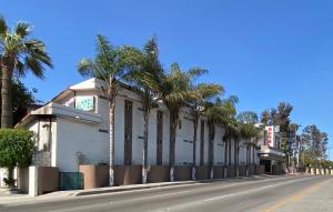 a building with palm trees in front of a street at R INN de TJ in Tijuana