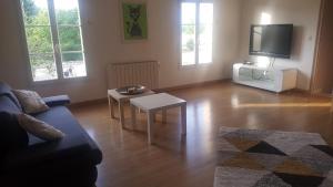 a living room with a couch and a tv at L'âtre de l'Abeilloire in Chabournay