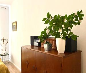 Fotografia z galérie ubytovania Apartament Hygge Monte Cassino 4 v Štetíne