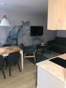 Televízia a/alebo spoločenská miestnosť v ubytovaní Apartamenty Stary Rynek 25 Oficyna Toruń