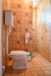 małą łazienkę z toaletą w pokoju w obiekcie Ferienwohnungen Ödenburgerhof w mieście Mörbisch am See +37 zdjęć