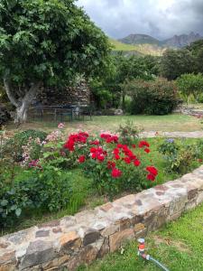 a garden with red flowers and a stone wall at Villa Capraghjese in Galeria