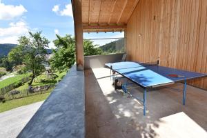 Stolní tenis v ubytování Wiesenhof Rusch nebo okolí