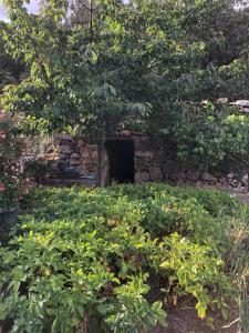 ガレリアにあるVilla Capraghjeseのギャラリーの写真