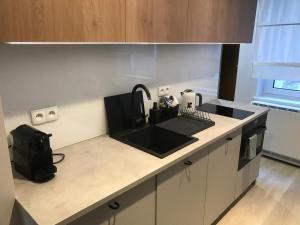 Kuchyňa alebo kuchynka v ubytovaní Apartamenty Stary Rynek 25 Oficyna Toruń