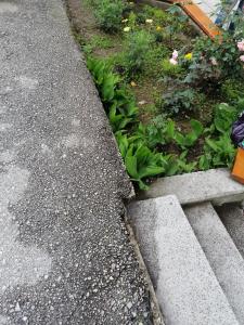 Fotografija u galeriji objekta LARA u Užicu