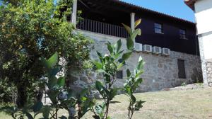 a house with an orange tree in front of it at Quinta da Mata in Ponte da Barca