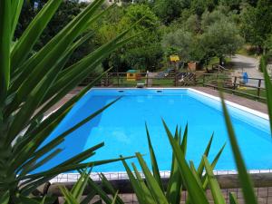 a large blue swimming pool with green plants at B&b Il Rustico in Sestri Levante