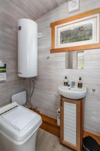 bagno con servizi igienici e lavandino di Tiny house with terrace a Flåm