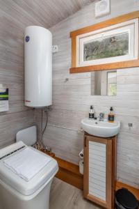 a bathroom with a toilet and a sink at Tiny house with terrace in Flåm