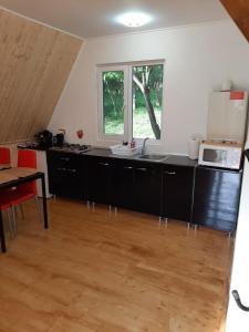 uma cozinha com armários pretos e um micro-ondas branco em Cabana din livada em Pucioasa