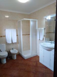 a bathroom with a toilet and a shower and a sink at Ares Vieira in Vieira do Minho