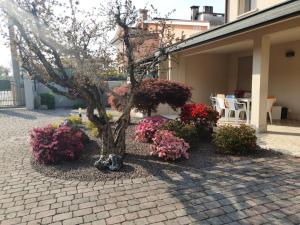 Zahrada ubytování Casa Sofia