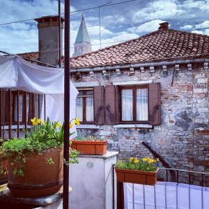 dom z doniczkami na balkonie w obiekcie ROOFTOP TERRACE Domus dei fabbri w Wenecji