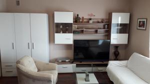 TV a/nebo společenská místnost v ubytování Apartments Svjeta