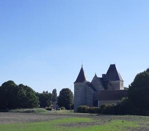 Fotografie z fotogalerie ubytování Chateau de Chémery v destinaci Chémery