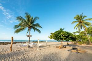 a beach with palm trees and palm trees at Hotel Nantipa - A Tico Beach Experience in Santa Teresa Beach