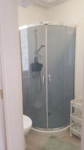 a bathroom with a glass shower with a toilet at DOMKI "apartamenty 4maki" in Jastrzębia Góra