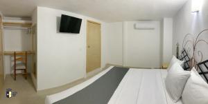 TV a/nebo společenská místnost v ubytování Hotel Real GDL + 16 fotografií