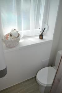 baño con aseo y cesta de papel higiénico en Serendipity Spa, en Kozármisleny