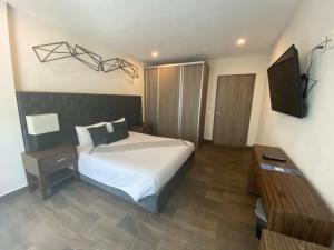 a bedroom with a bed with a television and a table at Suites Rio Elba in Mexico City