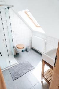 een badkamer met een toilet, een douche en een wastafel bij Ábelův mlýn in Turnov