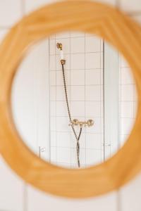 een douche in de badkamer via een spiegel bij Ábelův mlýn in Turnov