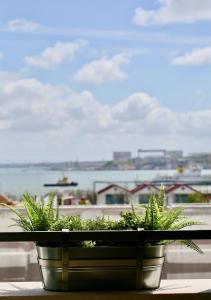 two potted plants sitting on a window sill at Luxury Apartment by MyPlaceForYou, very quiet, close to Time Out Market Lisbon in Lisbon