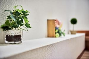 Fotografie z fotogalerie ubytování 今日都 Kyoto Guesthouse v Kjótu
