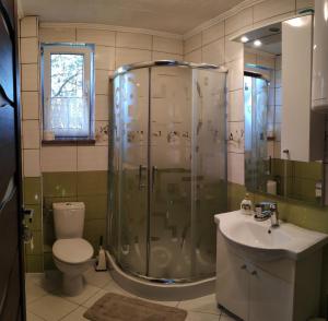 a bathroom with a shower and a toilet and a sink at Domek Leśna Przystań in Strękowizna +51 photos