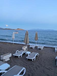 a group of lounge chairs and umbrellas on a beach at Zest Exclusive Hotel & Spa in Ortakent